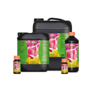 ATA PK 13 14 – ATAMI