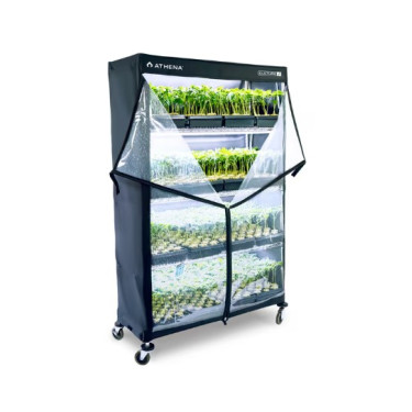 Athena VPDome – Тент для профессионального укоренения черенков